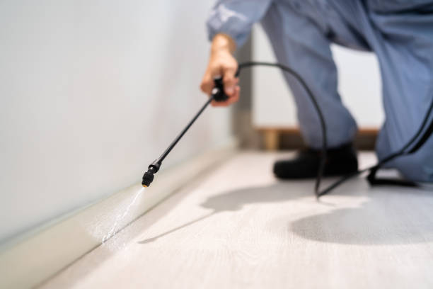 Licensed Cockroach Control service in Laton, CA - Nex Pest Control