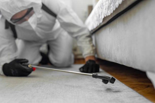 Professional Cockroach Control technician working in Laton, CA