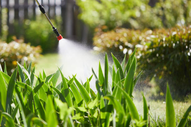 24/7 Emergency Cockroach Control experts in Laton, CA