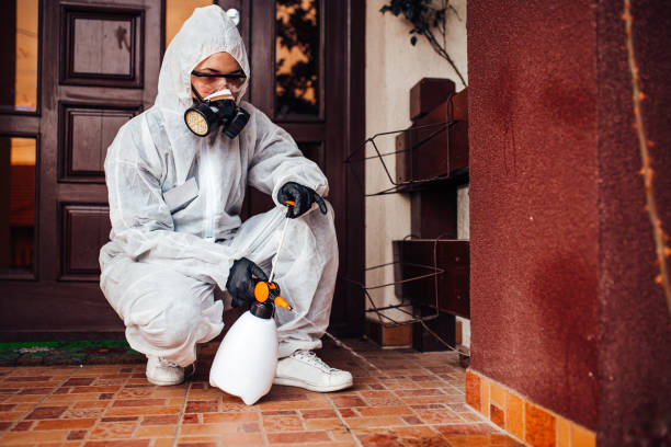 Reliable Cockroach Control contractor in Laton, CA by Nex Pest Control